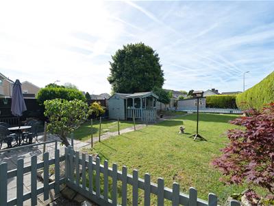 Picture 21